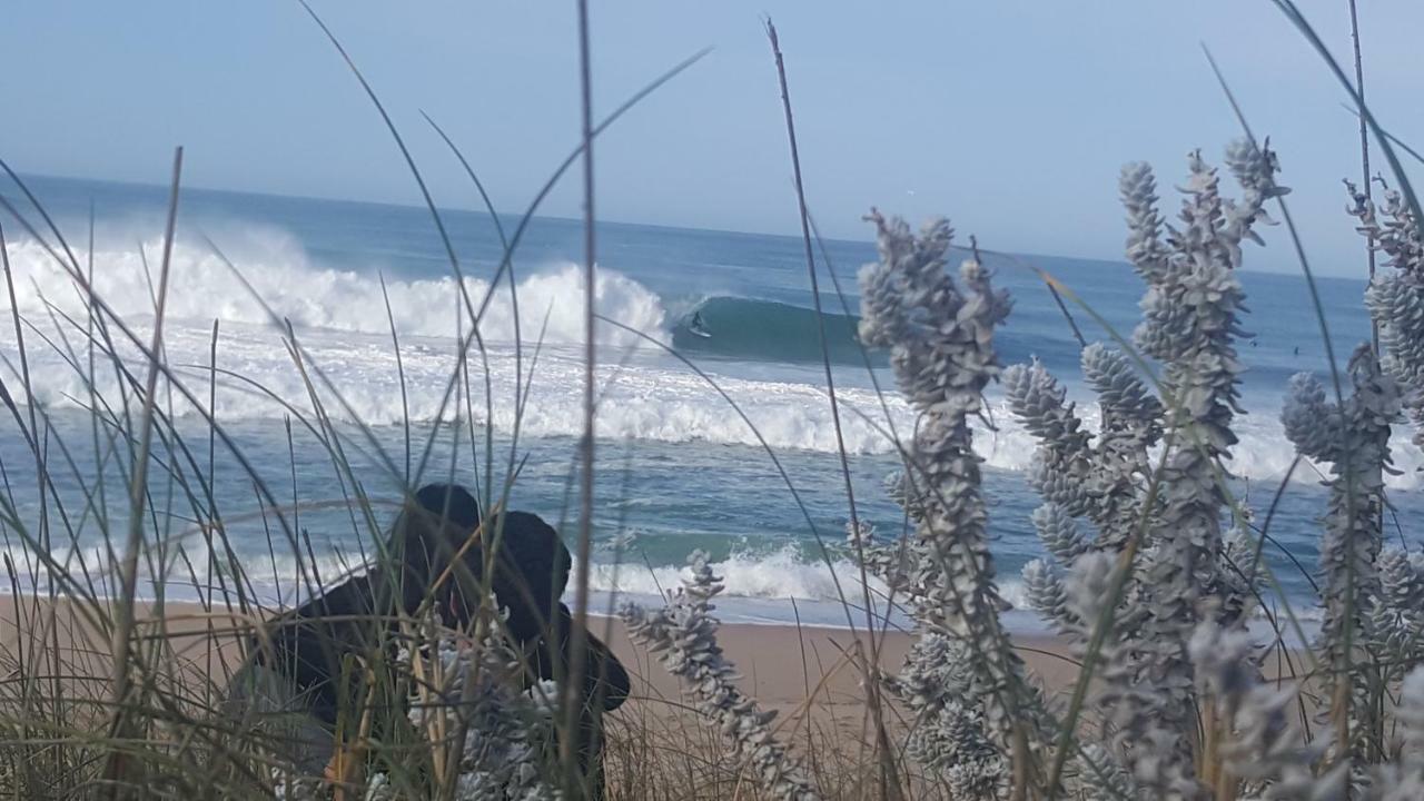 Pineapple Surf House Pansiyon Atouguia Da Baleia Dış mekan fotoğraf