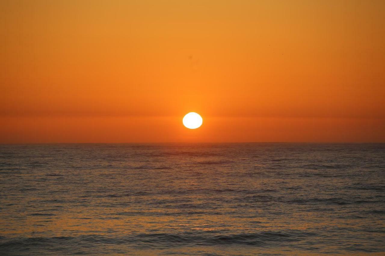 Pineapple Surf House Pansiyon Atouguia Da Baleia Dış mekan fotoğraf